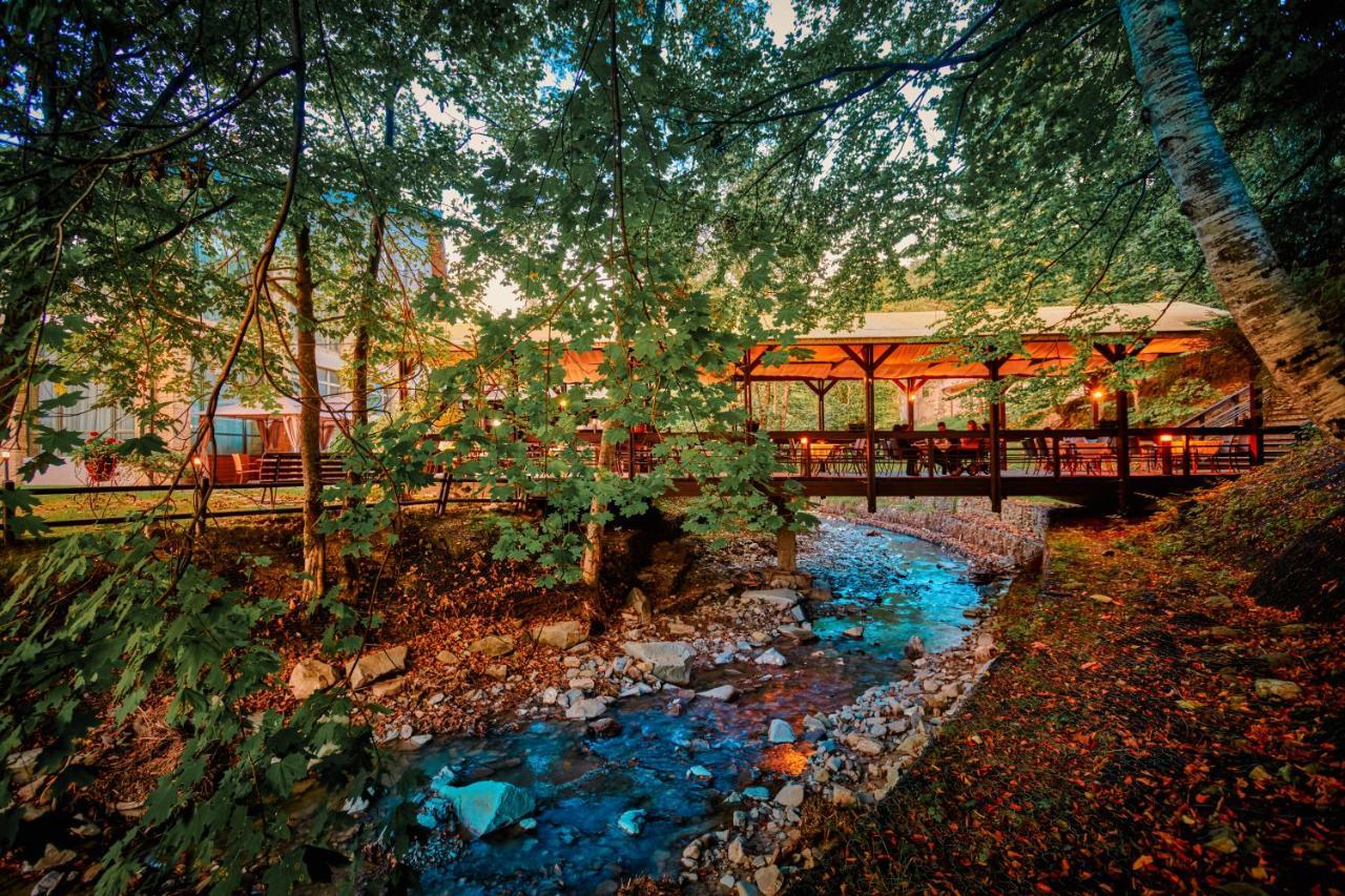 Hotel & Restaurant Sofia Сучевица Екстериор снимка