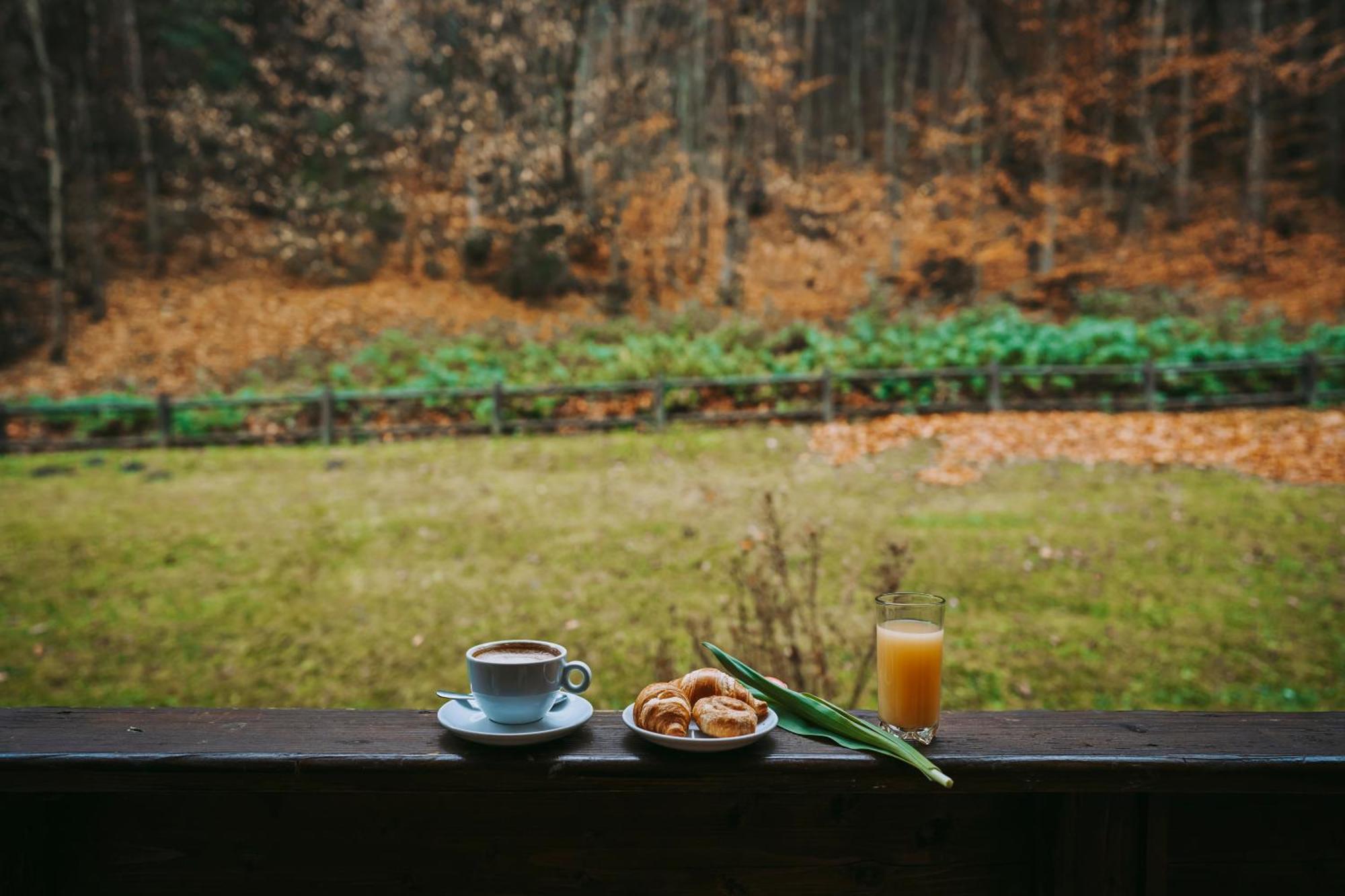 Hotel & Restaurant Sofia Сучевица Екстериор снимка